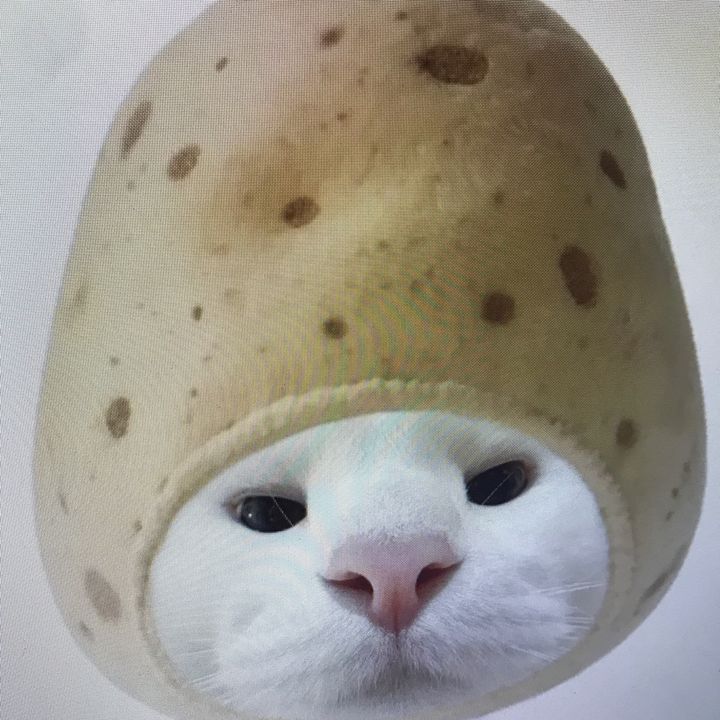 fehjkdf