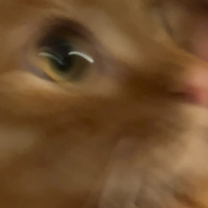 afsvxa