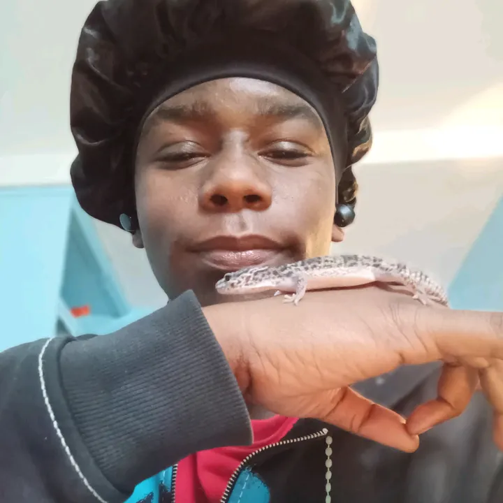 adot.cocka