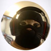 accidental_jay