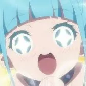 neko.koo