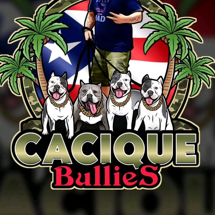 caciquebullies